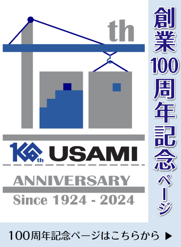 100NLOTCg